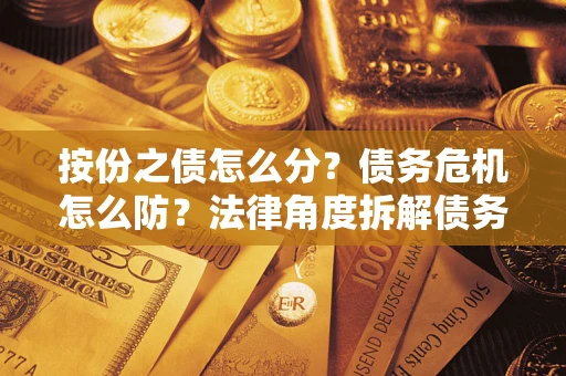武汉按份之债怎么分？债务危机怎么防？法律角度拆解债务分配与风险自保指南