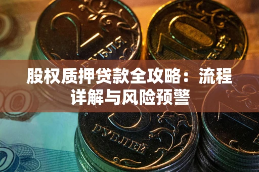 武汉股权质押贷款全攻略：流程详解与风险预警