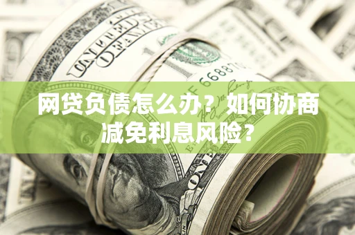 武汉网贷负债怎么办？如何协商减免利息风险？