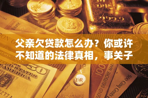 武汉父亲欠贷款怎么办？你或许不知道的法律真相，事关子女未来