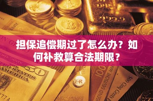 武汉担保追偿期过了怎么办？如何补救算合法期限？