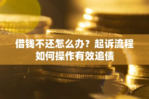 武汉借钱不还怎么办？起诉流程如何操作有效追债