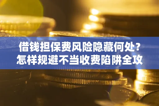 武汉借钱担保费风险隐藏何处？怎样规避不当收费陷阱全攻略！