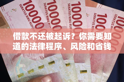 武汉借款不还被起诉？你需要知道的法律程序、风险和省钱技巧