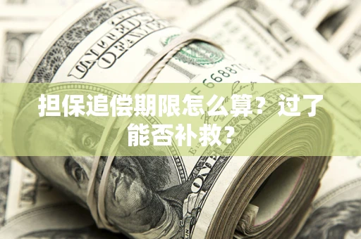武汉担保追偿期限怎么算？过了能否补救？